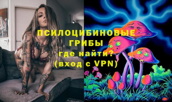 2c-b Горнозаводск