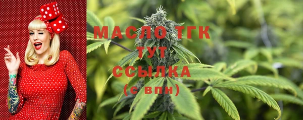таблы Горняк