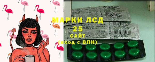 2c-b Горнозаводск
