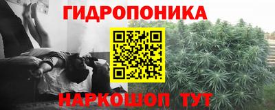 PSILOCYBIN Гусь-Хрустальный