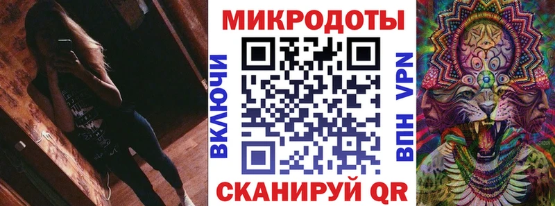 Галлюциногенные грибы Psilocybe  купить наркоту  Дальнереченск 