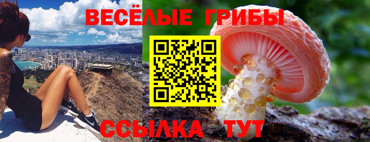 Галлюциногенные грибы Magic Shrooms Дальнереченск