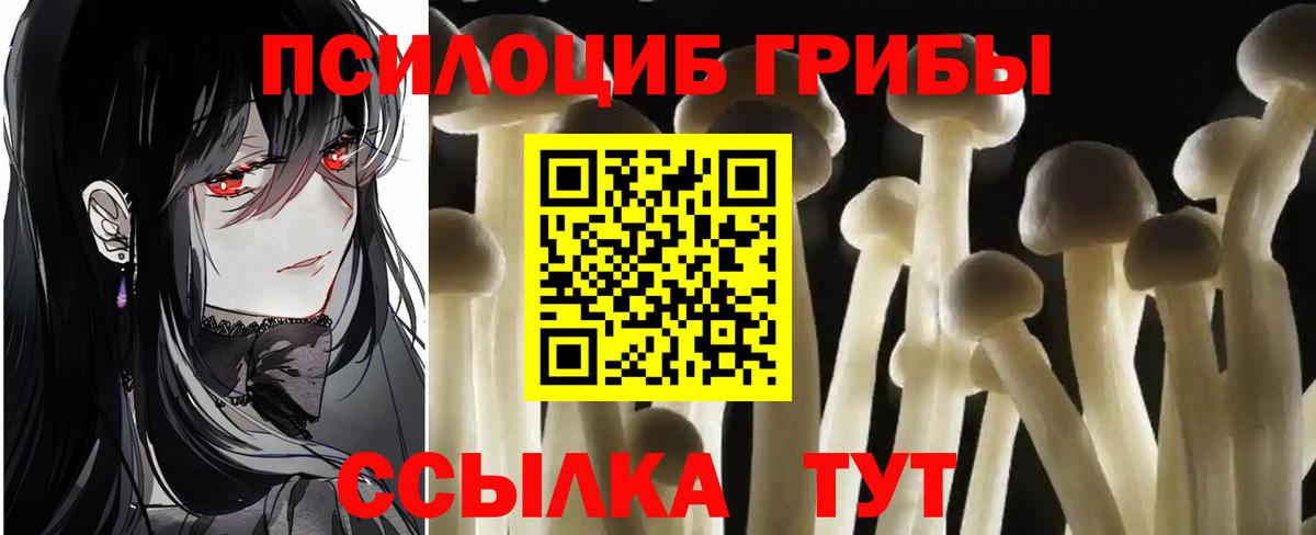 Псилоцибиновые грибы ЛСД  Галлюциногенные грибы Magic Shrooms  закладка  Вход с VPN  Дальнереченск 